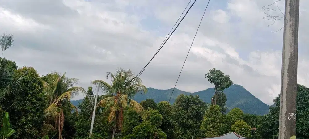 jual tanah dekat pantai Lovina