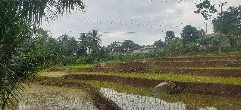 Sawah dijual.Sawah Murah.Lahan untuk Vila