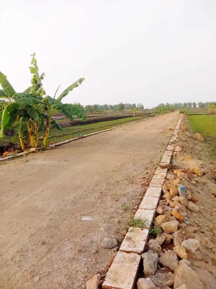 Kavling Tanpa DP