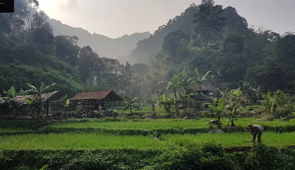 Jual Cepat Harga NJOP di Lewi Sapi Cimande Caringin Kab. Bogor
