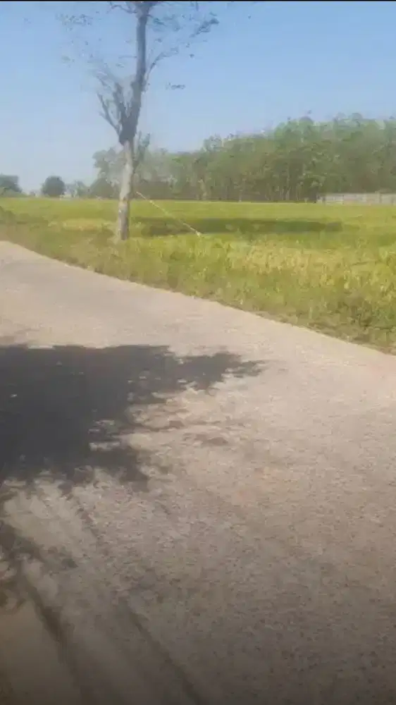 Dijual Tanah 16.000 m2 Zona industri Cibogo Subang