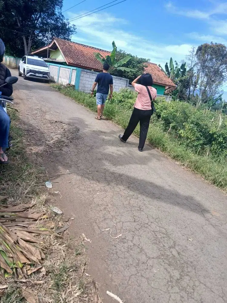 Tanah Darat Sangat Subur  tuk Tanaman Apapun