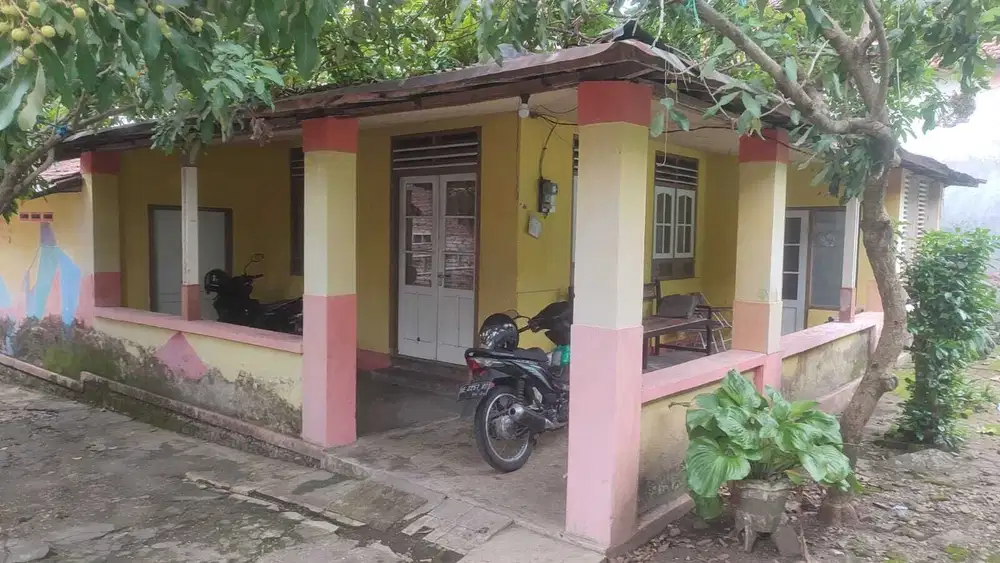 Dijual Tanah Murah Lokasi Strategis Cocok Untuk Investasi Di Magetan