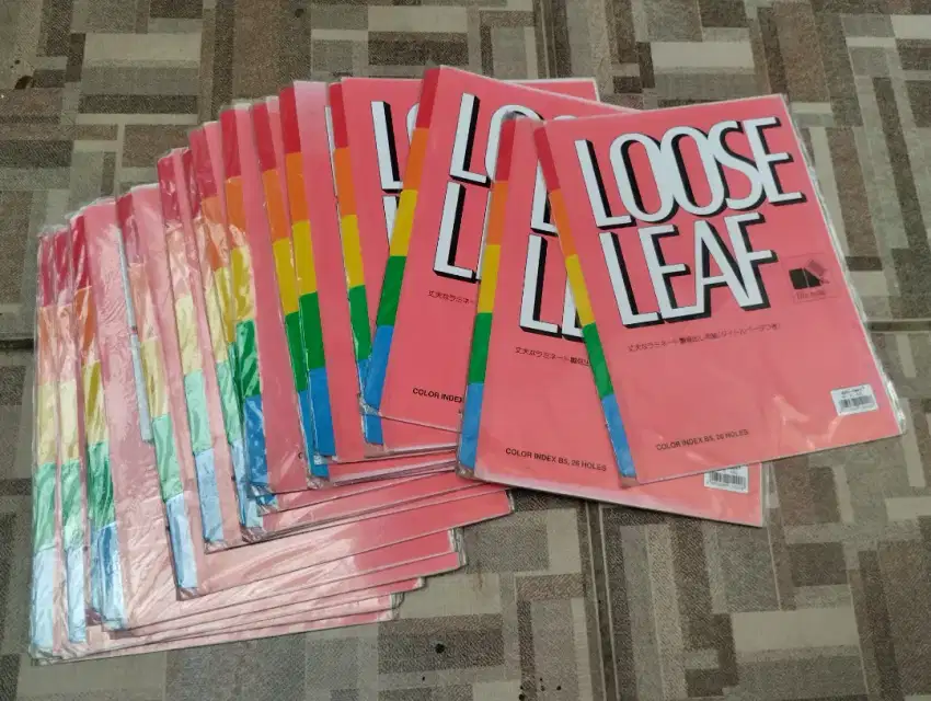 19 SET PEMBATAS FILE BINDER JOY ART B5 LIMA WARNA