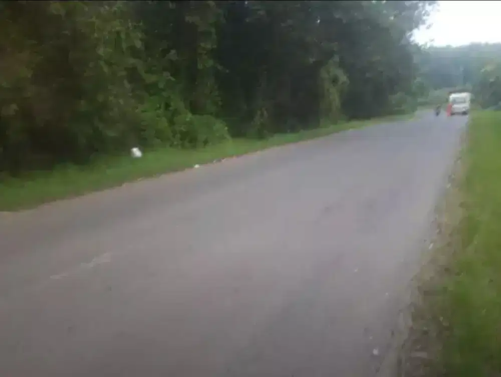 Dijual tanah 2000 m2 k pergudangan Pinggir Jl. Raya Subang - Indramayu