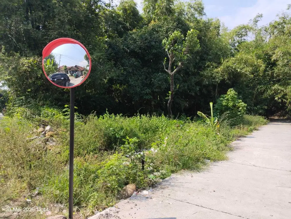 Tanah Kebun Kebon Kapling Komersial Gemuh Blanten Kendal