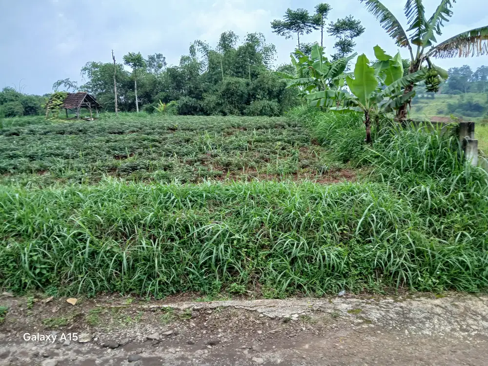 Tanah  Darat Bagus Buat RUMAH tinggal