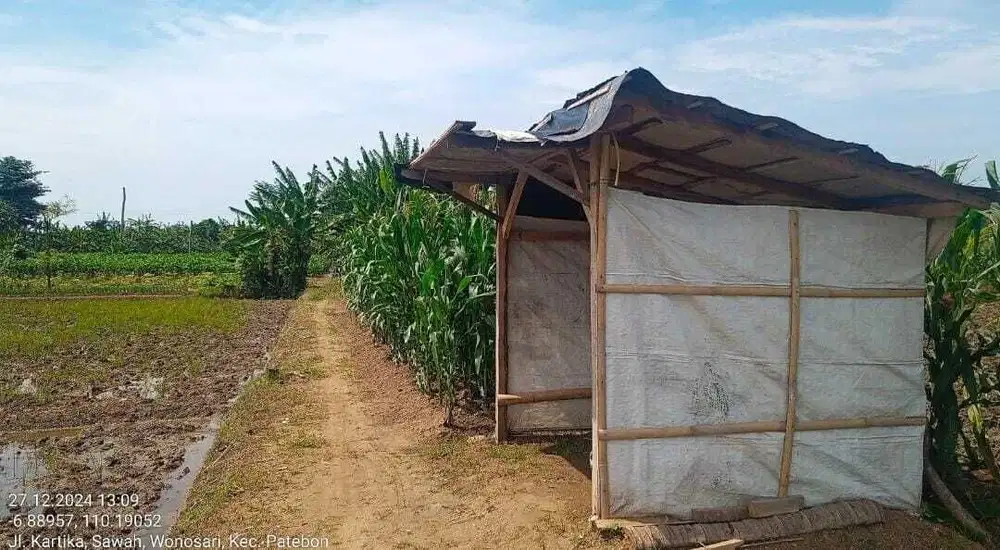 Tanah Sawah Pertanian Produktif Komersial Wonosari Patebon Kendal
