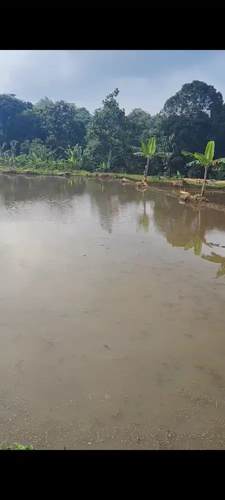 Jual tanah lingkar timur