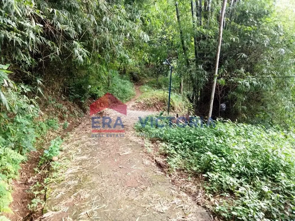 TANAH dijual LT 2057m² di Selopanggung Kediri, ada tanaman pohon jati