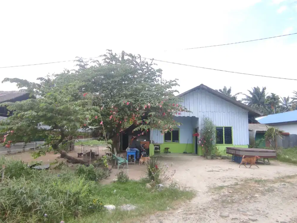 Dijual Bangunan dan Tanah di Pantai Labu Pekan