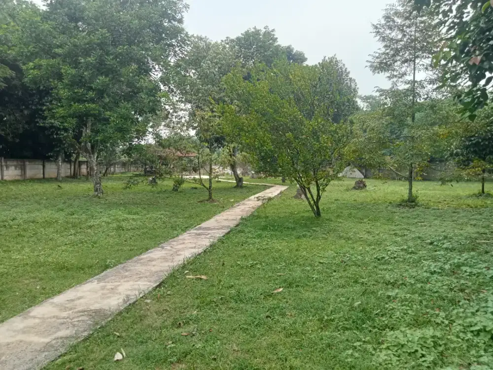 Di jual vila kebun durian lt 3400 mtr ss ajb lokasi sudah pgr keling
