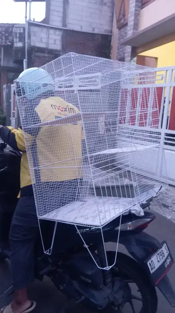 Kandang kucing tingkat