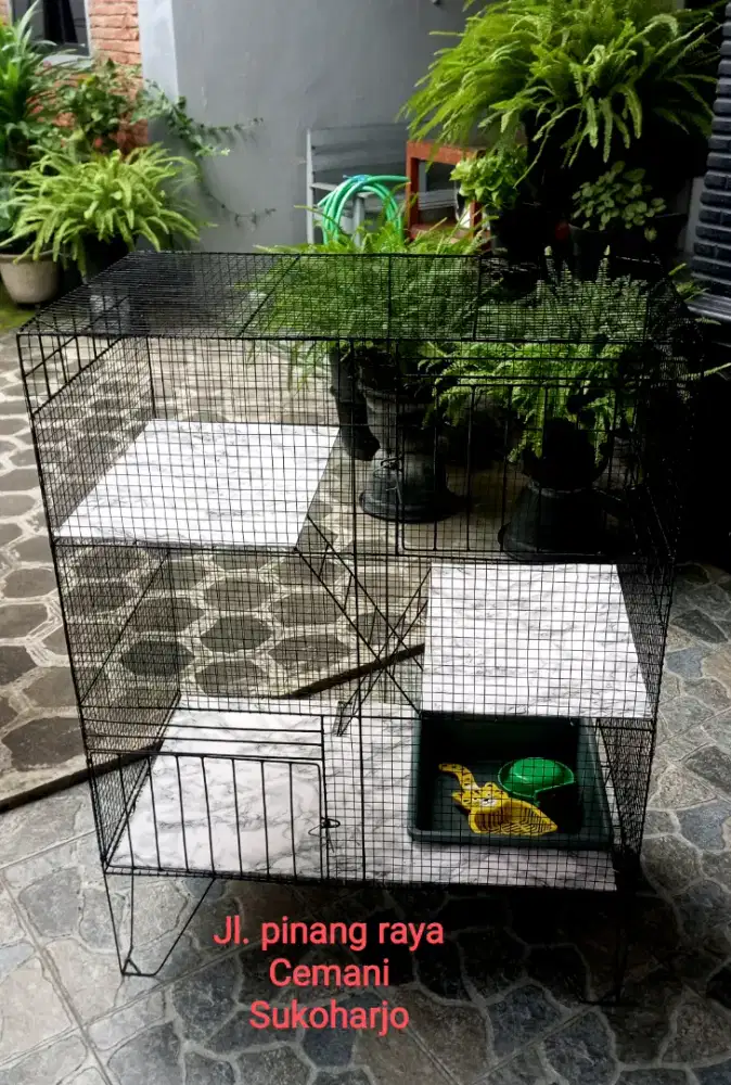 Kandang kucing tingkat