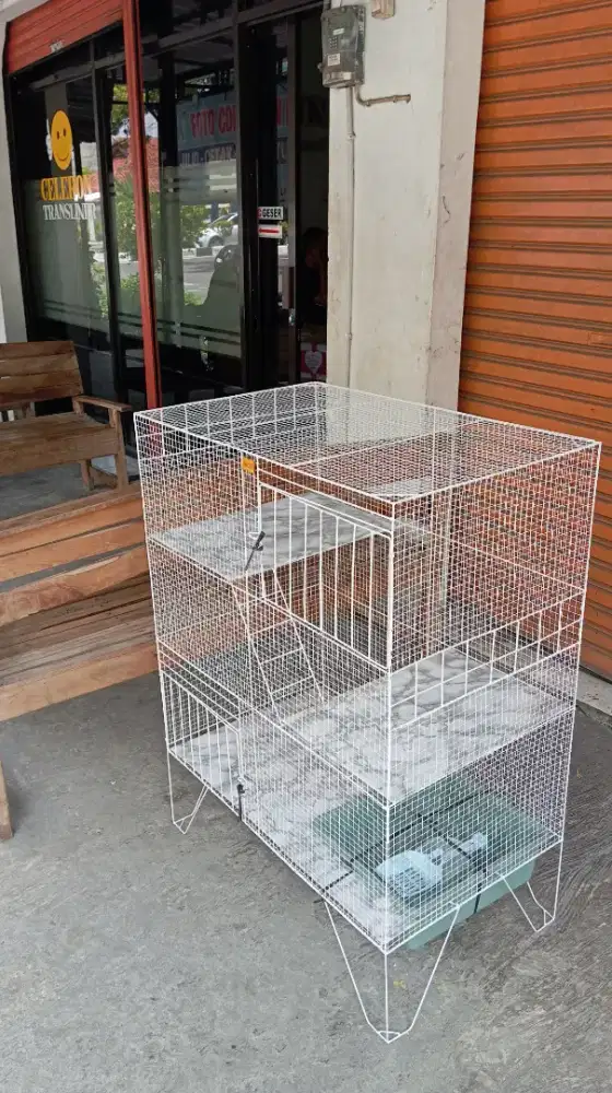 Kandang kucing tingkat