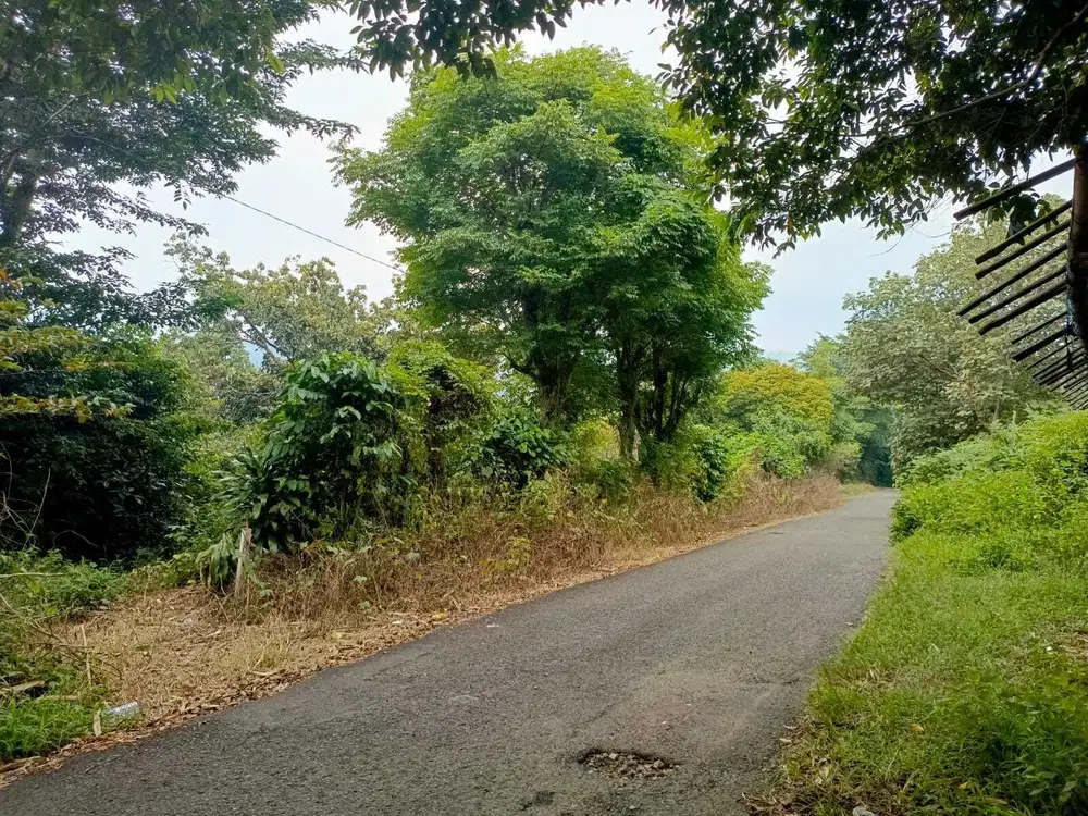 Dijual Tanah Untuk Villa Ponpes Pertanian Peternakana di Pondoksalam