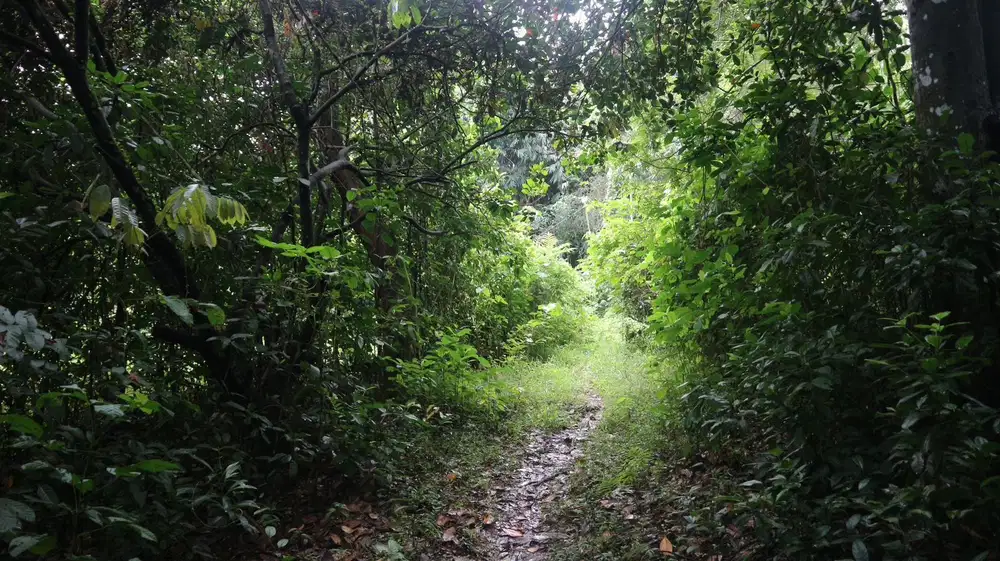 Dijual tanah darat di purwakarta jawabarat