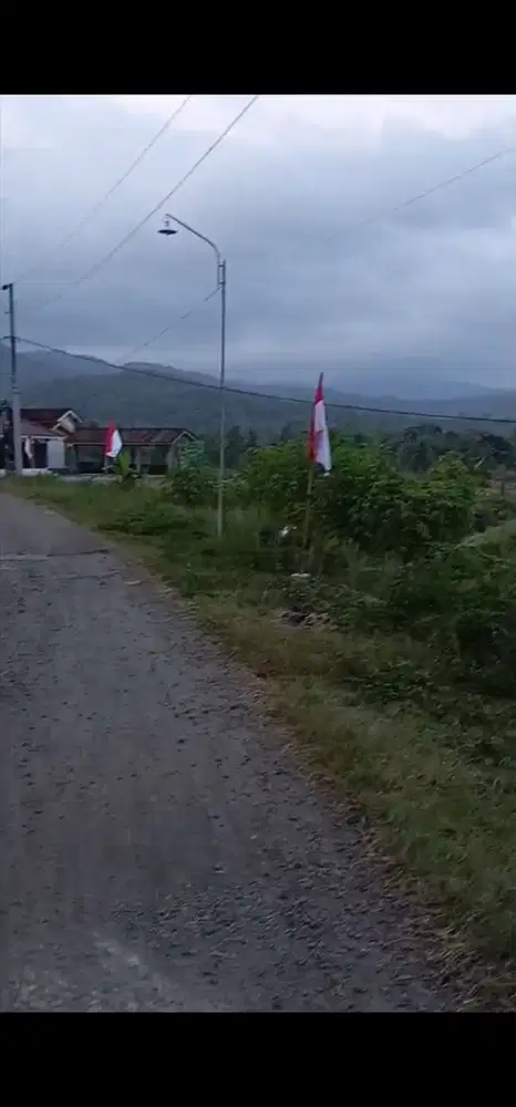 JUAL TANAH DI KARANGSARI PENGASIH KULONPROGO VIEW SAWAH