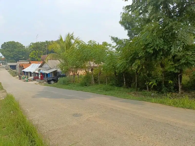 Dijual Tanah Pinggir Jalan Desa View Waduk Jatiluhur