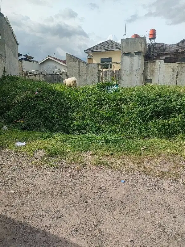 Jual kavling murah di mekarwangi