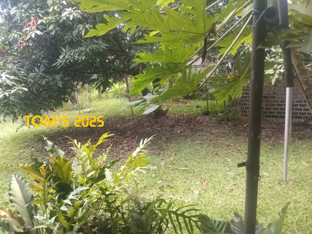 TANAH STRATEGIS DEKAT KAWASAN SUHAT DAN KAMPUS BRAWIJAYA & POLINEMA