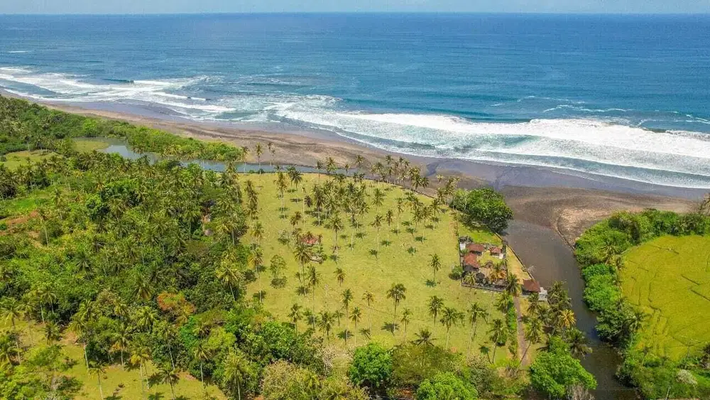 Tanah Luas Indah Di Bali Harga Ciamik Strategis Dan Luar bIasa
