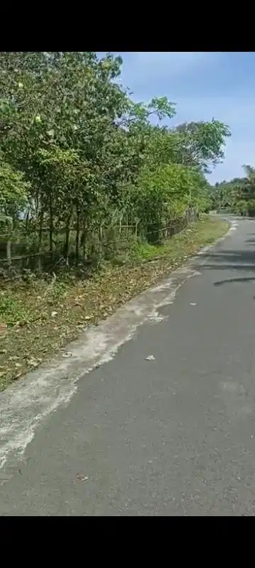 TANAH PANTAI DI KRUI