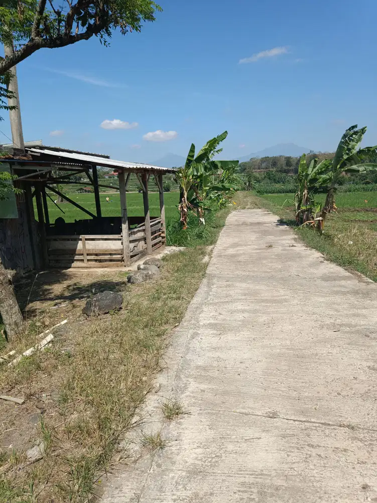 DIJUAL TANAH SAWAH DI NOGOSARI BOYOLALI