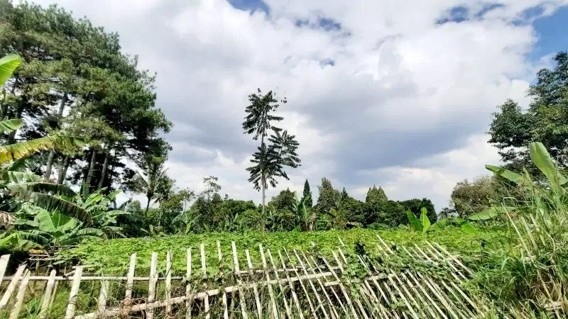 Kavling Strategis Kolonel Masturi