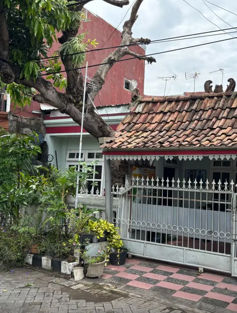Dijual/Sewa Cepat Rumah Mulyosari Bhaskara
