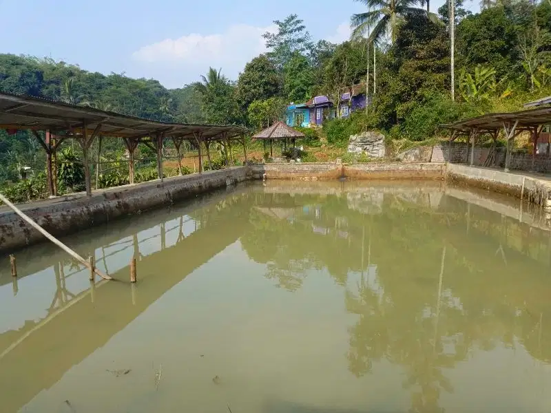 Dijual Kolam Pemancingan di Nangewer Dekat Exit Tol Darangdan