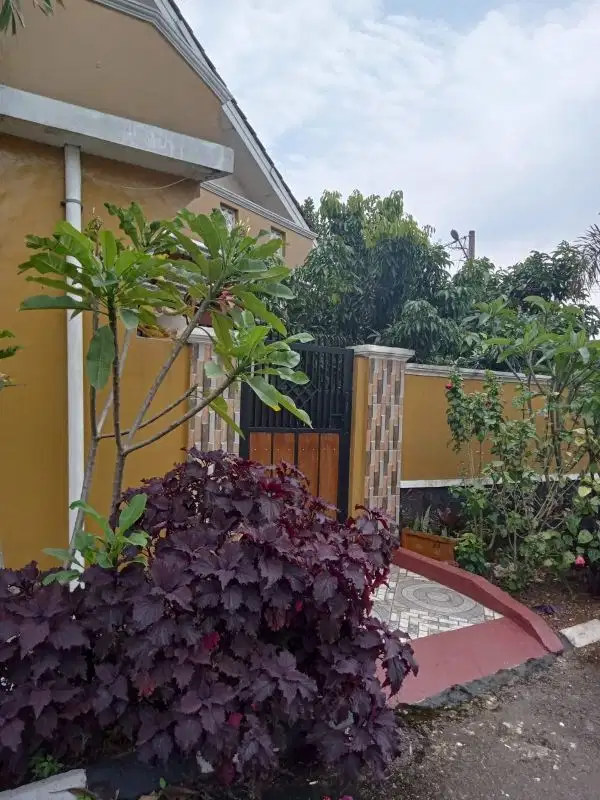 rumah hoek pesona batavia jampang kemang