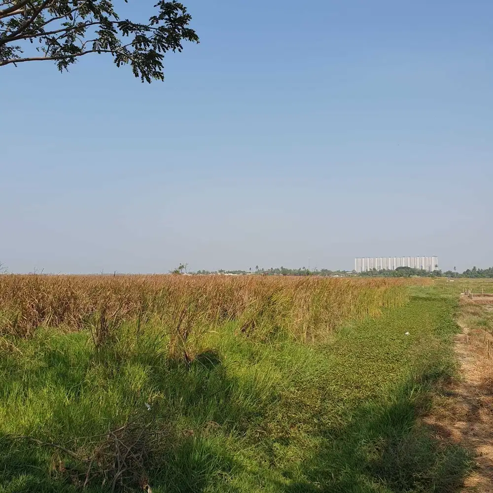 DIJUAL CEPAT TANAH LOKASI STRATEGIS DI BELAKANG PIK 2 JAKARTA