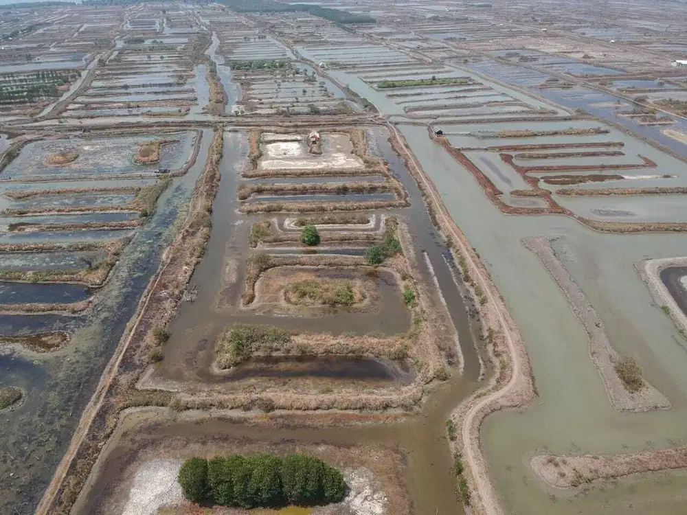 Dijual tanah sawah luhur turun harga