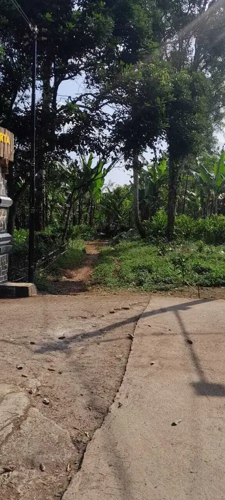 Dijual lahan 6000 meter udara sejuk pinggir jalan