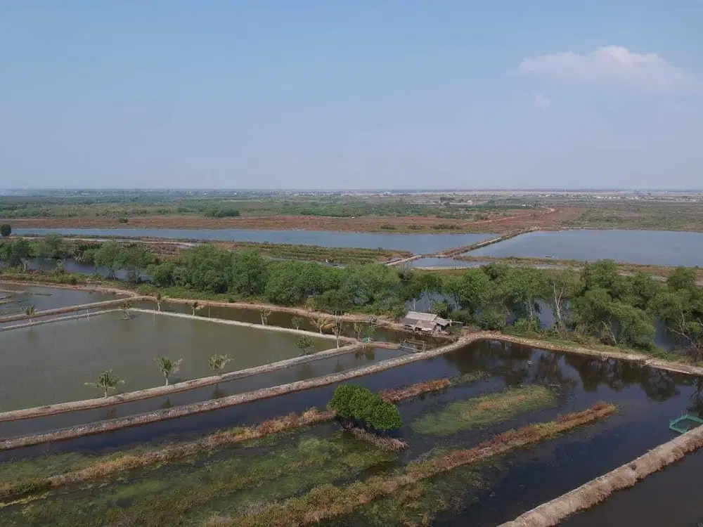 Dijual Tanah empang bekasi