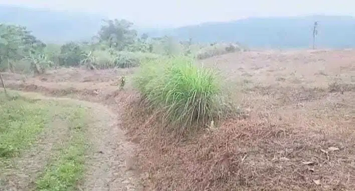 Dijual Tanah murah 2,3 ha di Jonggol