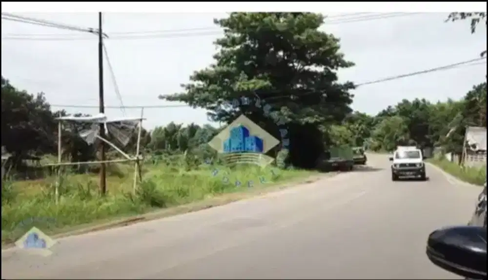 Dijual tanah pinggir Jl. Raya Rangkasbitung - Cikande, 12010 m2, SHM