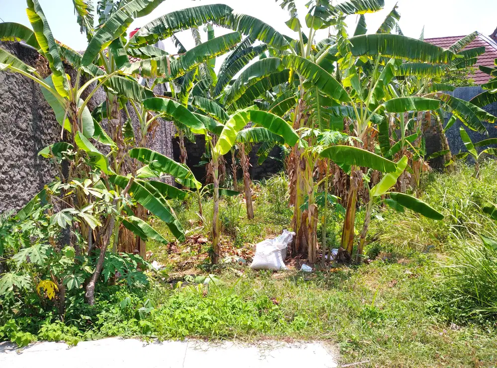 DIJUAL TANAH KAVLING LOKASI TOHUDAN COLOMADU