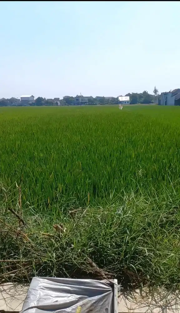 DIJUAL MURAH TANAH PEKARANGAN LOKASI BLULUKAN COLOMADU