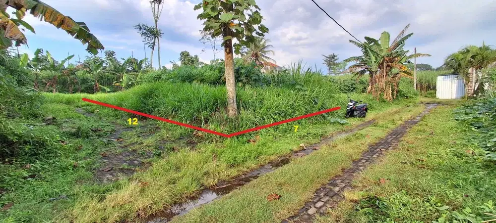 Tanah murah Asrikaton Pakis Malang Bunut SHM Hook Dijual cpt B.U Poll