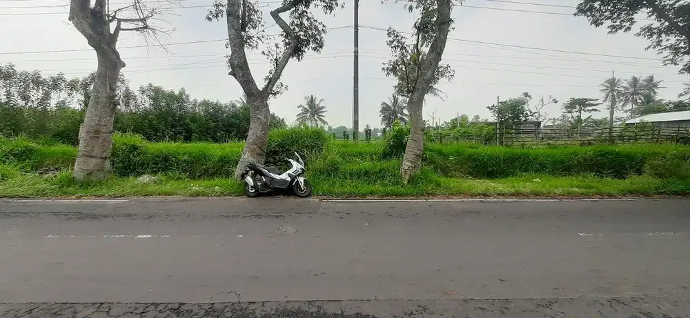 Tanah Poros Banjarejo pakis Dijual Murah cepat B.U Poll cocok buat usaha