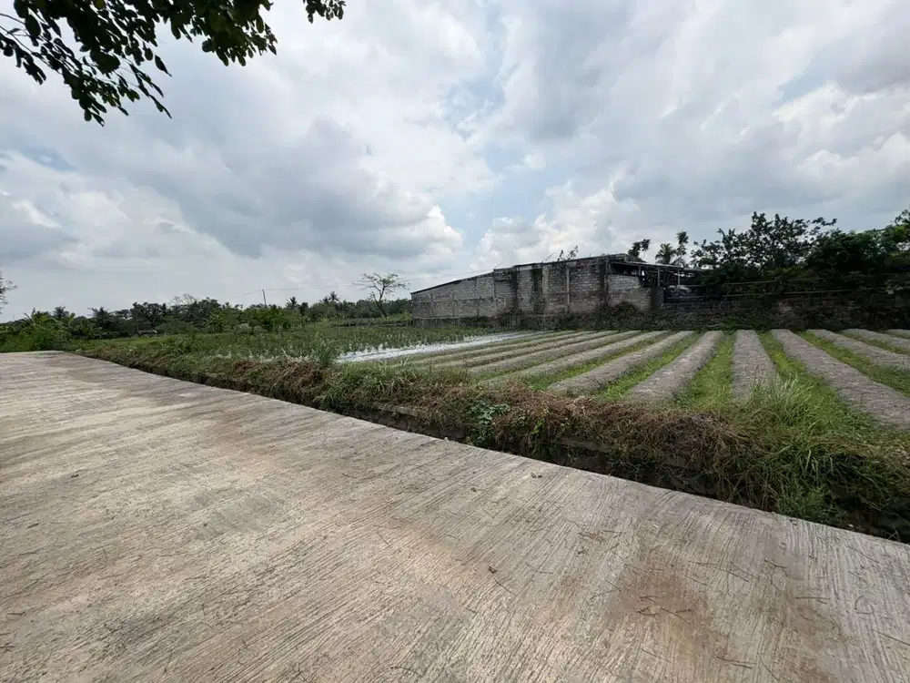 Jl. Kaliurang KM 12; Kawasan Asri dan Nyaman; SHM