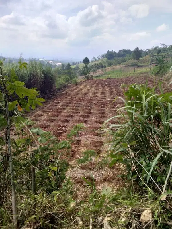 dijual lahan luas dekat stasiun Whoosh Padalarang