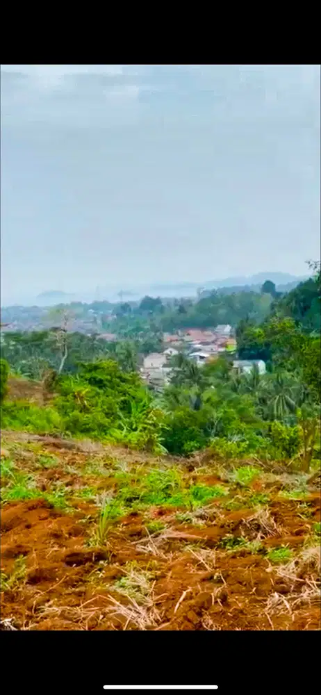 Dijual Tanah Lampung 12 hektar