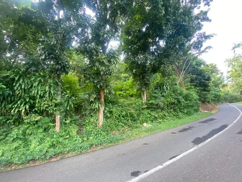 Tanah Kebun Pinggir Jalan Aspal di Cirende Campaka Purwakarta