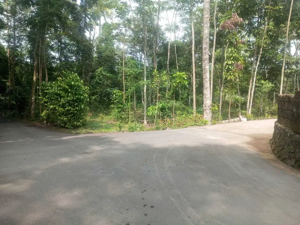 Tanah pekarangan asri Kemalang luas 1500m