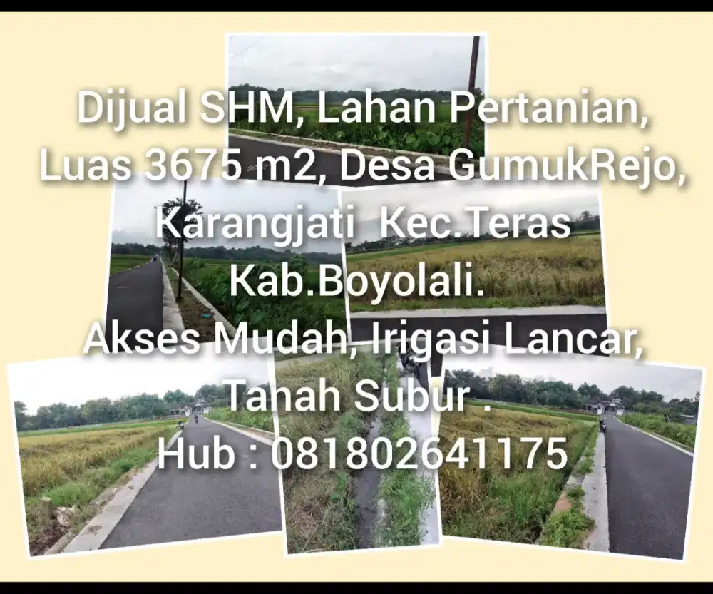 DIJUAL SAWAH SUBUR BOYOLALI