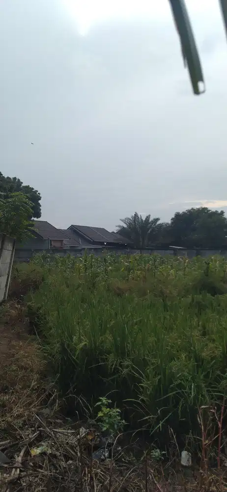 TANAH STRATEGIS BUAT CLUSTER DI PASAR KEMIS TANGERANG
