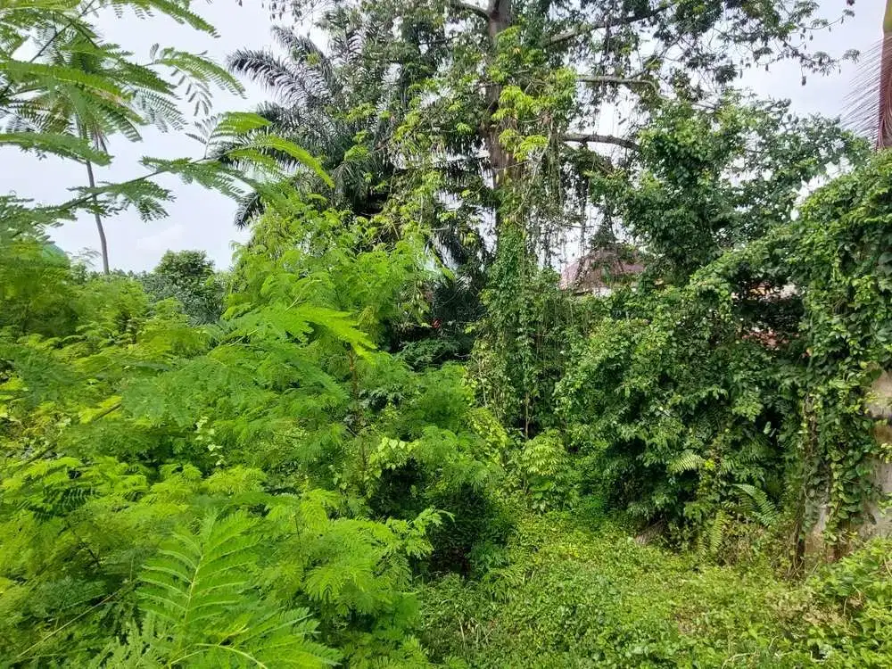 Tanah di Lokasi Premium  ( Diponegoro) Dikota Pekanbaru